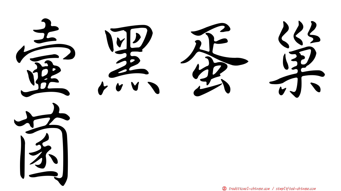 壺黑蛋巢菌