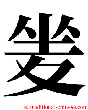 夎 serif font