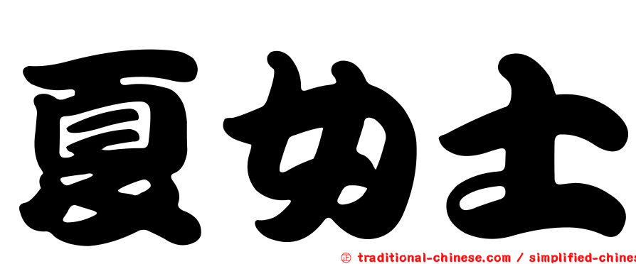 夏女士