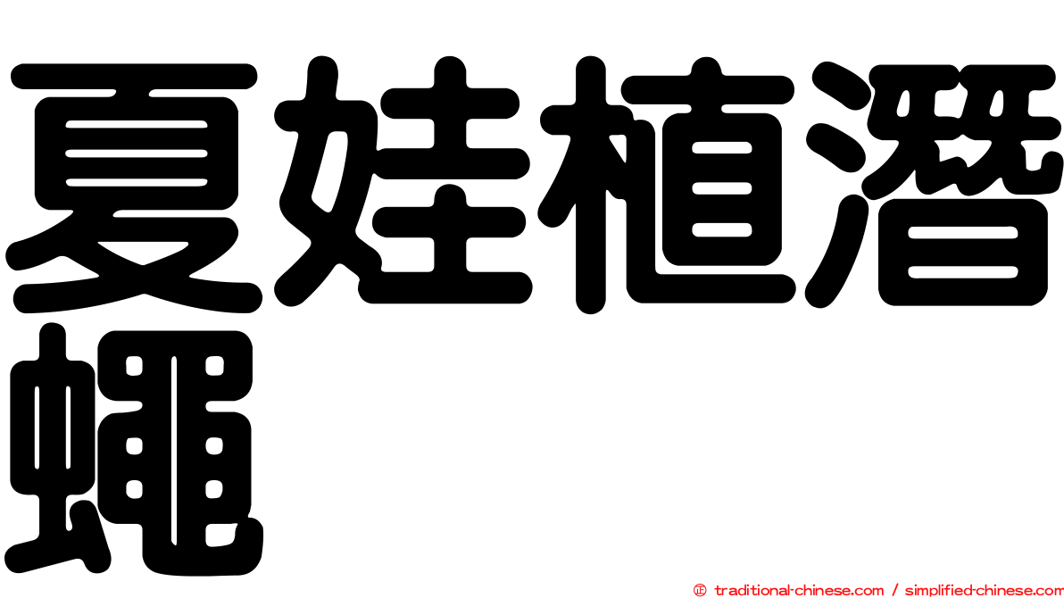 夏娃植潛蠅