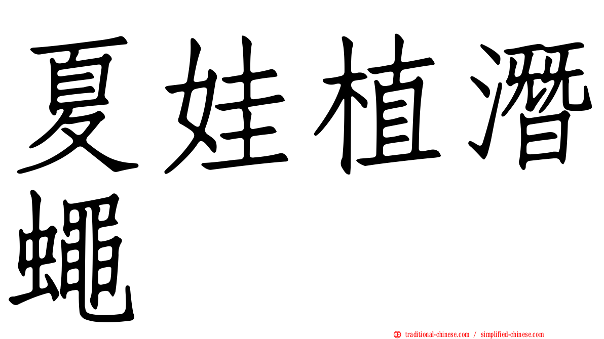 夏娃植潛蠅