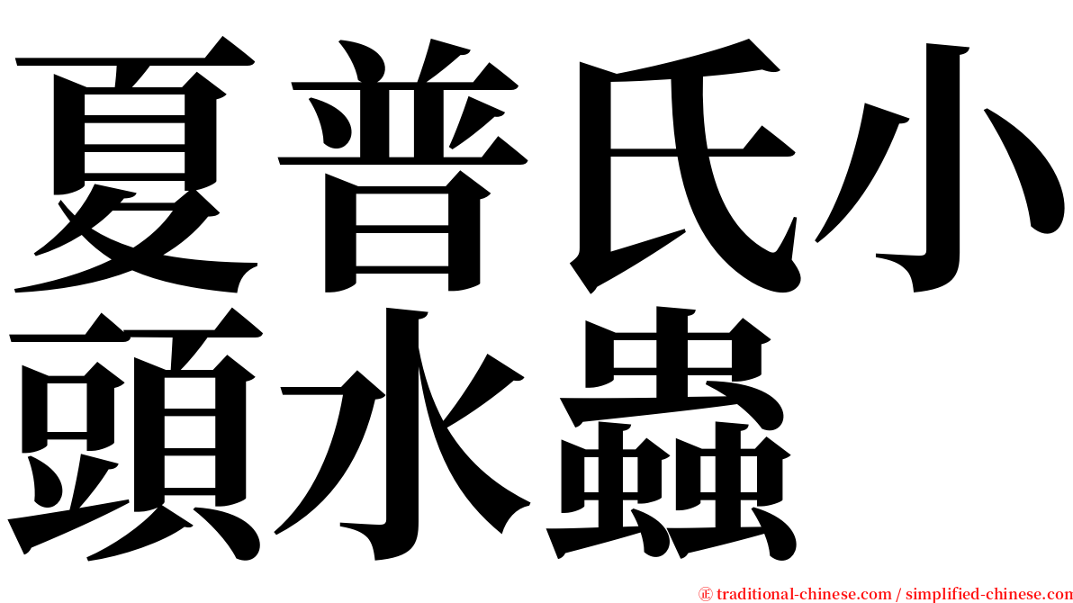 夏普氏小頭水蟲 serif font