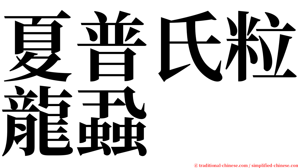 夏普氏粒龍蝨 serif font