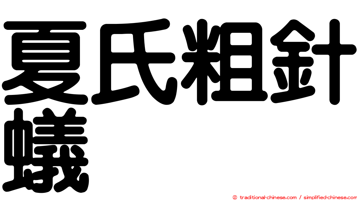 夏氏粗針蟻