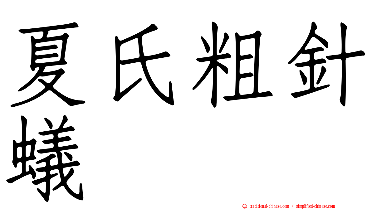 夏氏粗針蟻