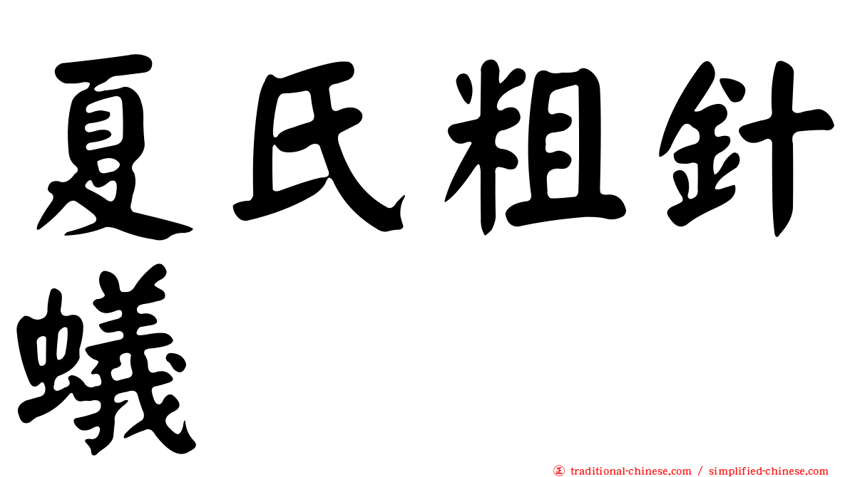 夏氏粗針蟻