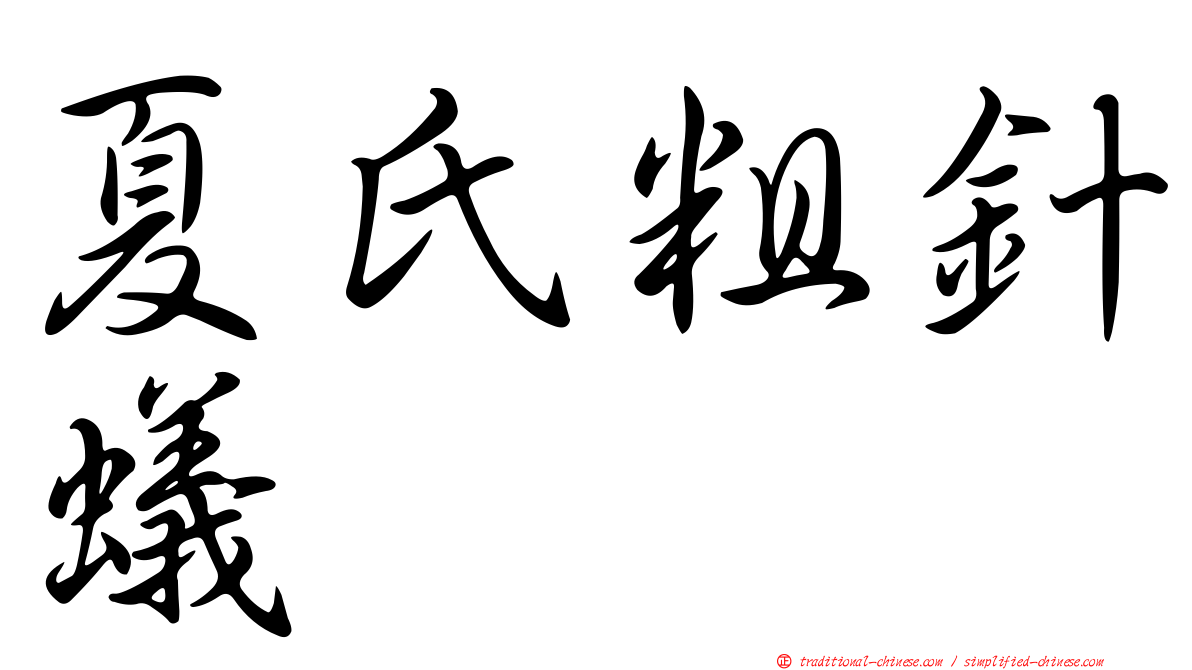 夏氏粗針蟻