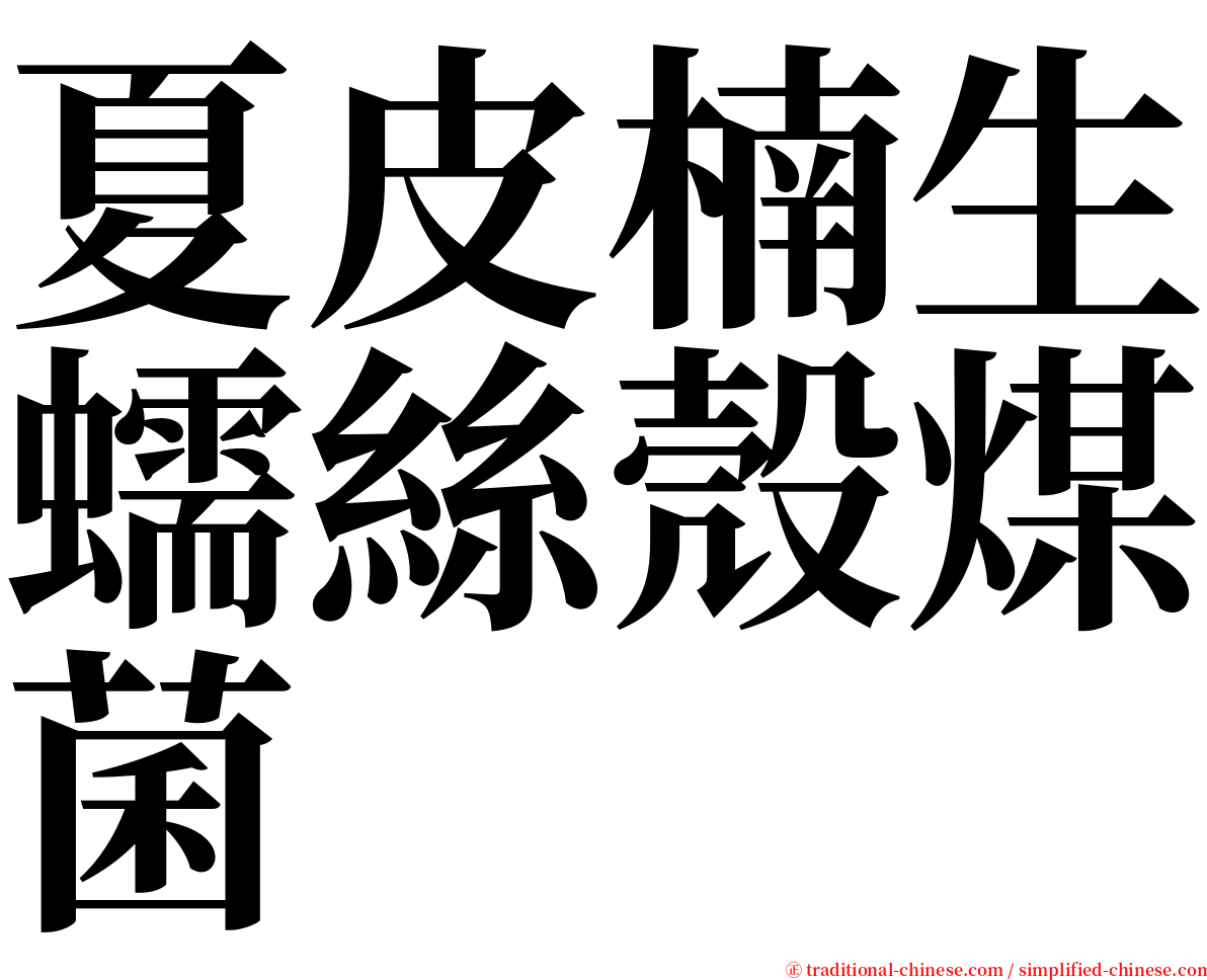 夏皮楠生蠕絲殼煤菌 serif font