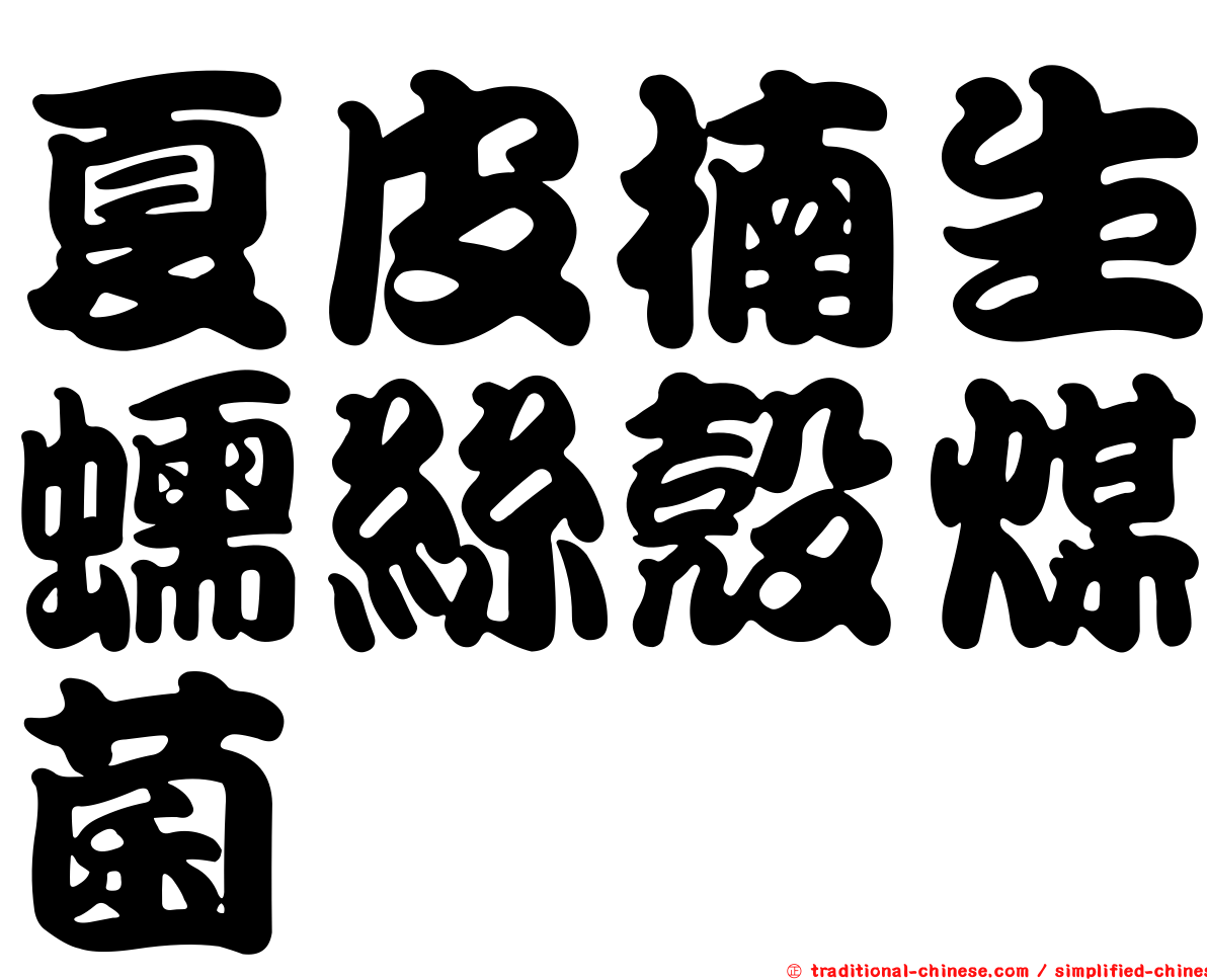夏皮楠生蠕絲殼煤菌