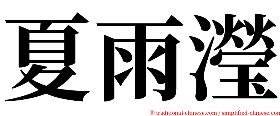 夏雨瀅 serif font