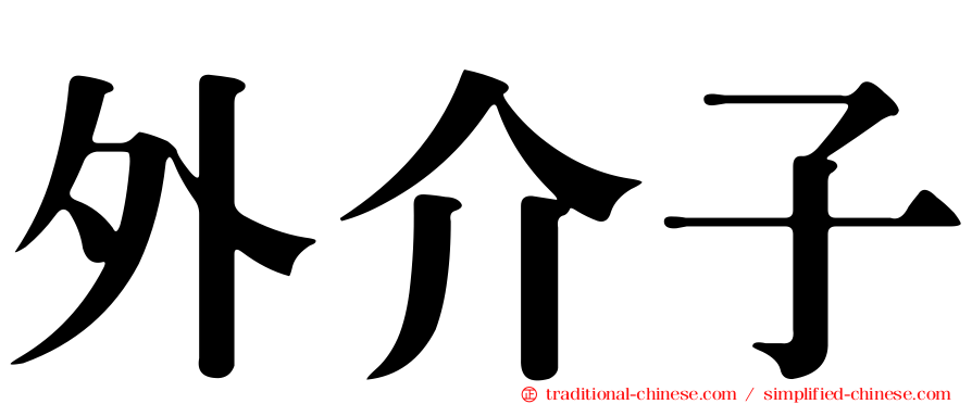 外介子
