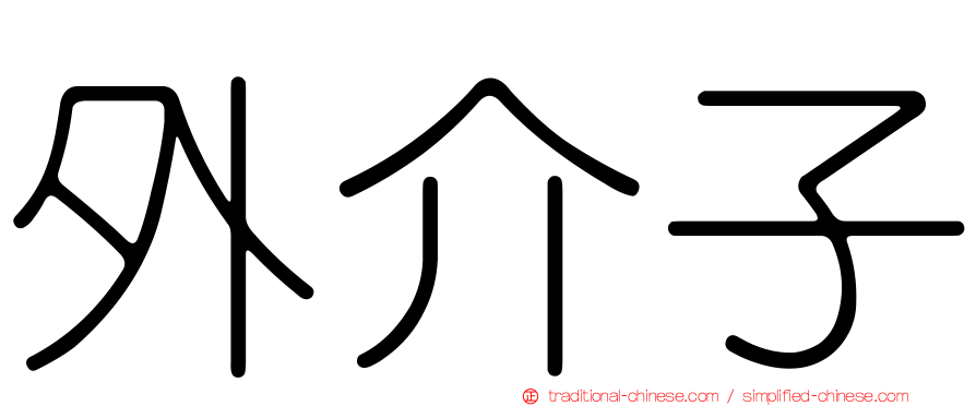 外介子