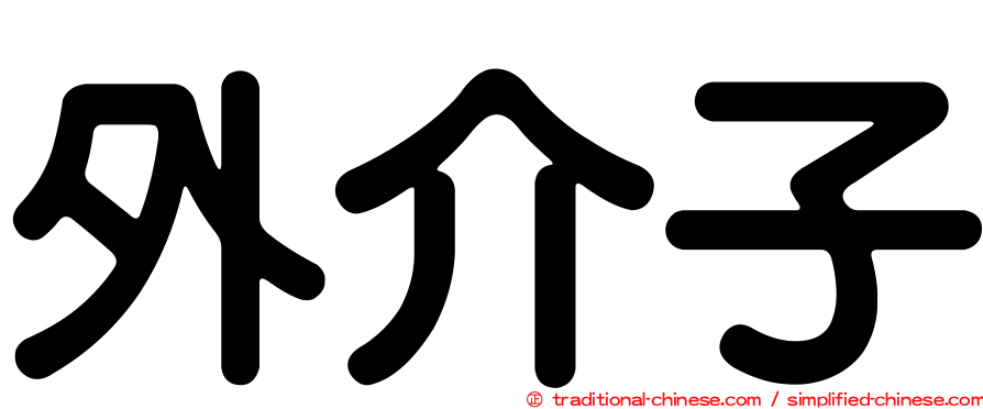 外介子