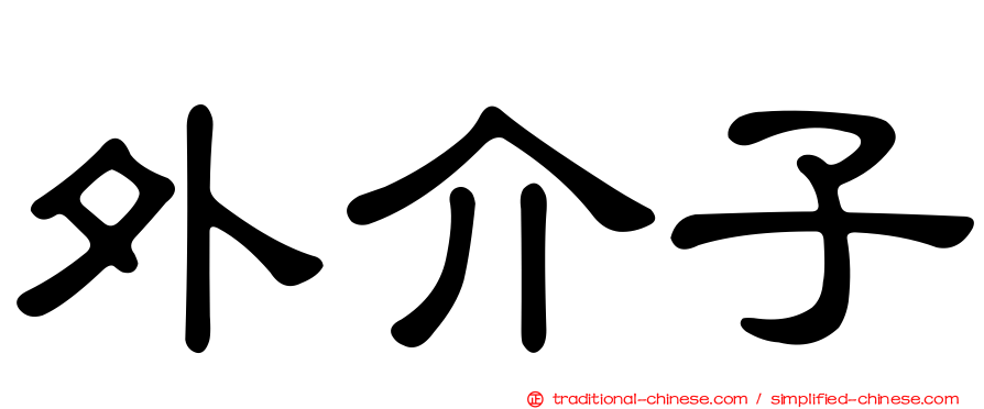 外介子