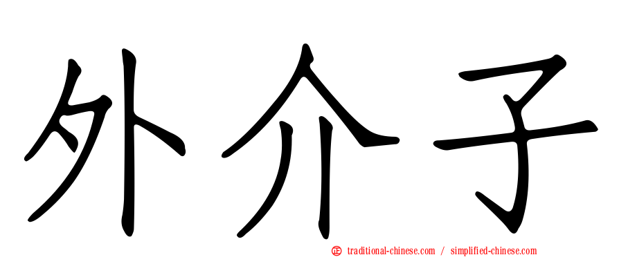 外介子