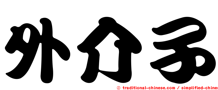 外介子