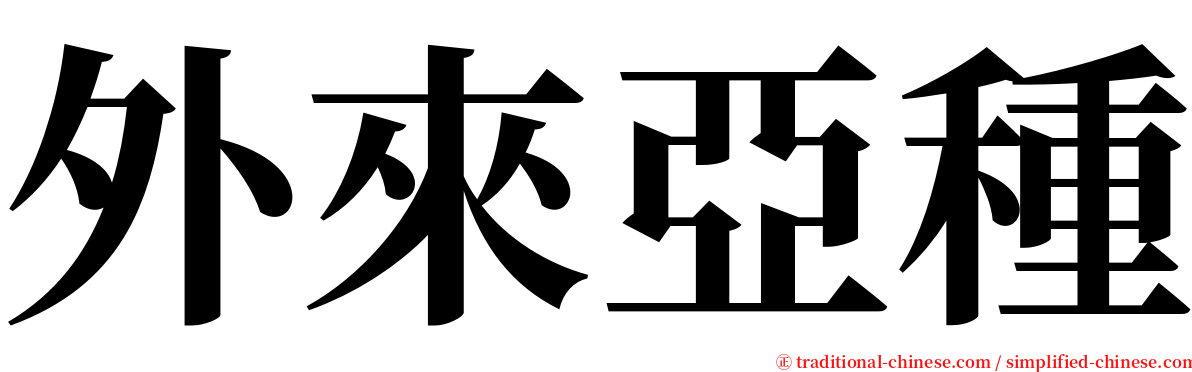 外來亞種 serif font