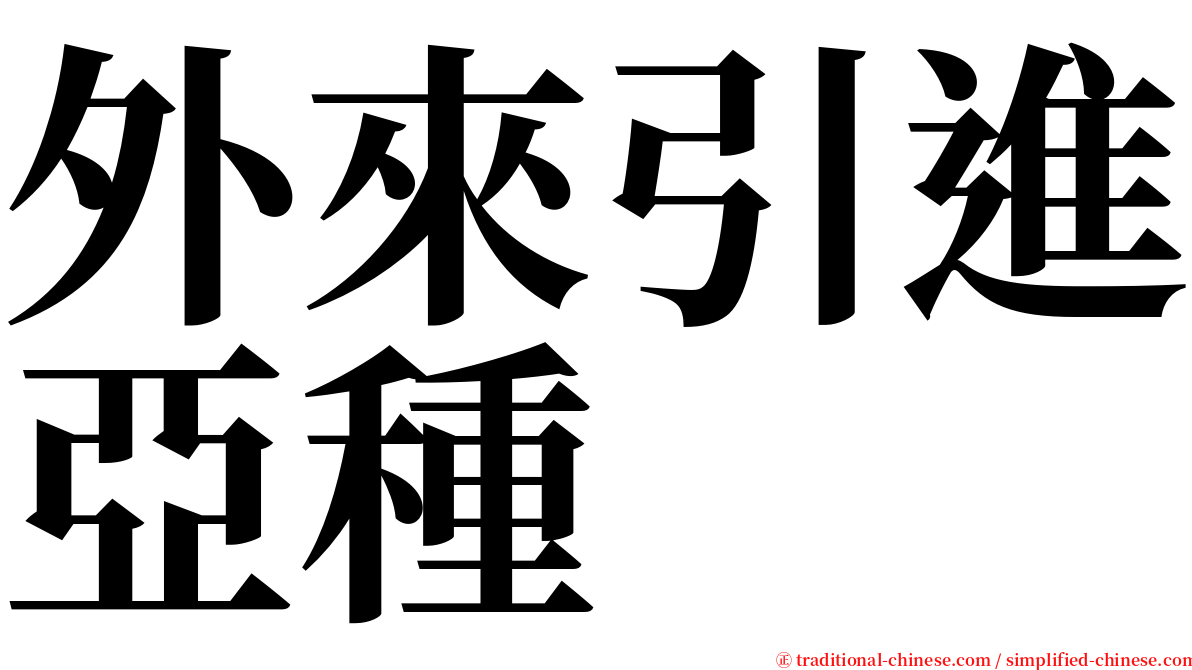 外來引進亞種 serif font