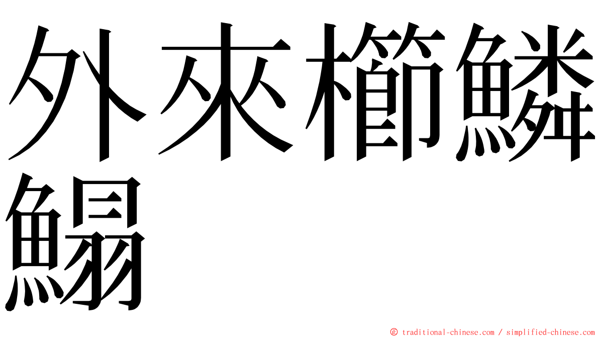 外來櫛鱗鰨 ming font