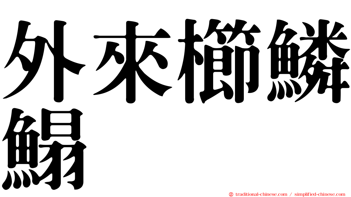 外來櫛鱗鰨