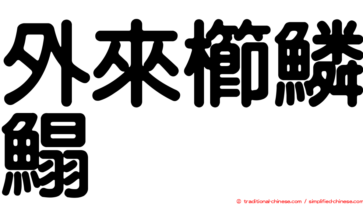 外來櫛鱗鰨