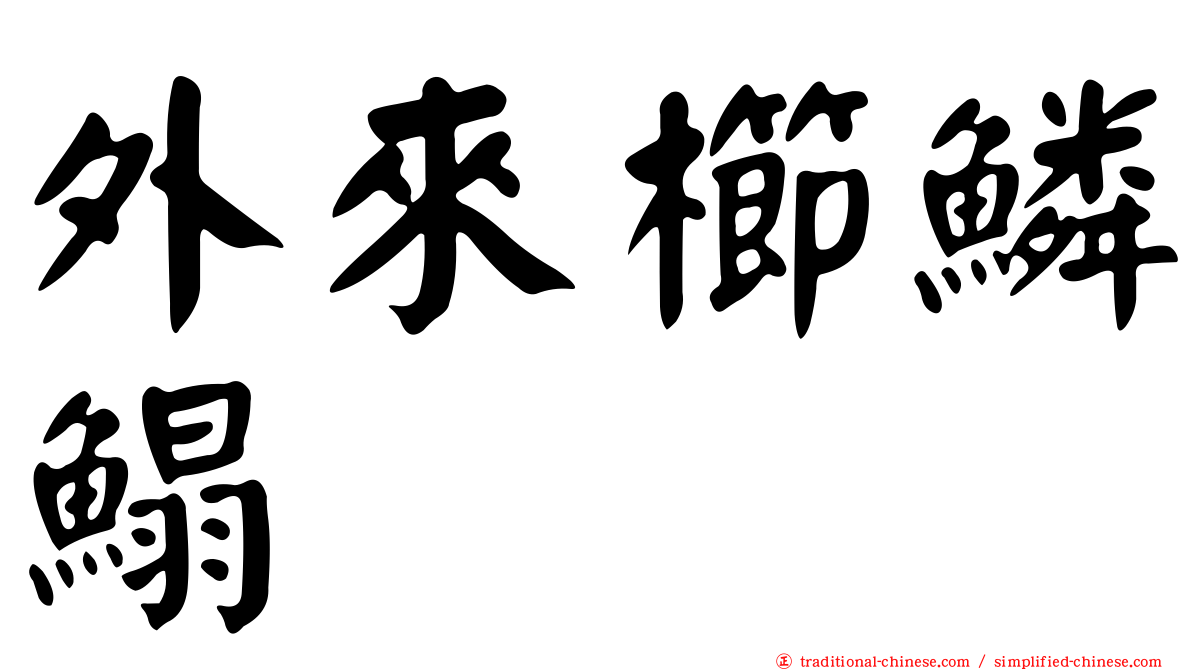 外來櫛鱗鰨