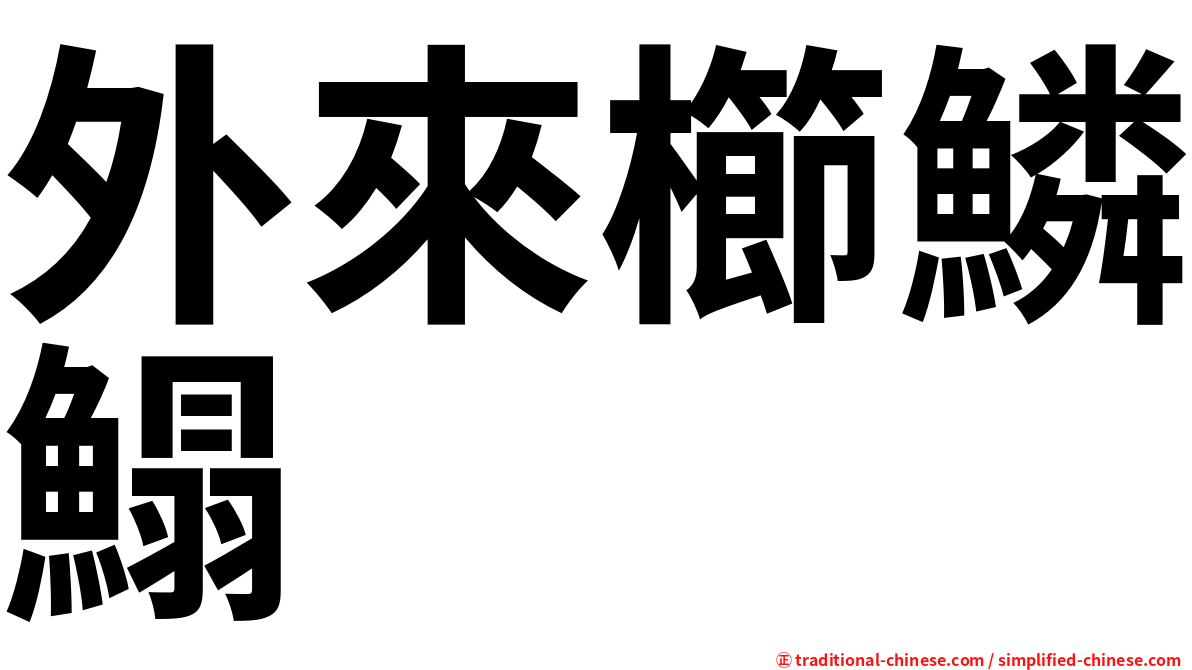 外來櫛鱗鰨