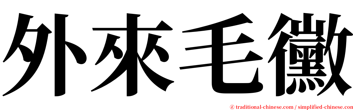 外來毛黴 serif font