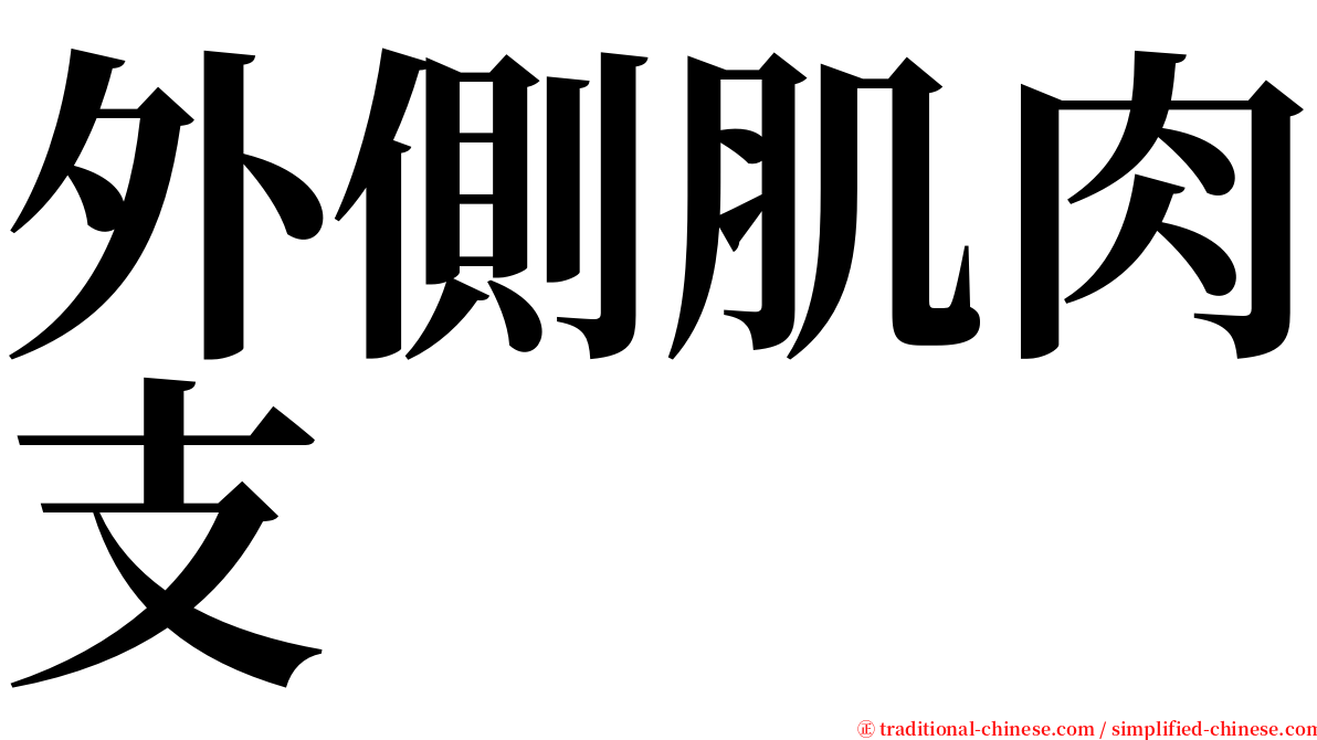 外側肌肉支 serif font