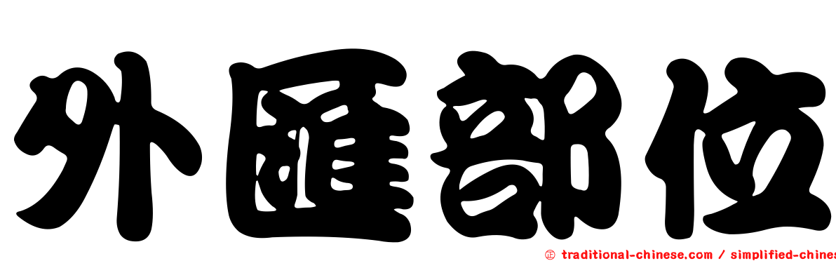 外匯部位