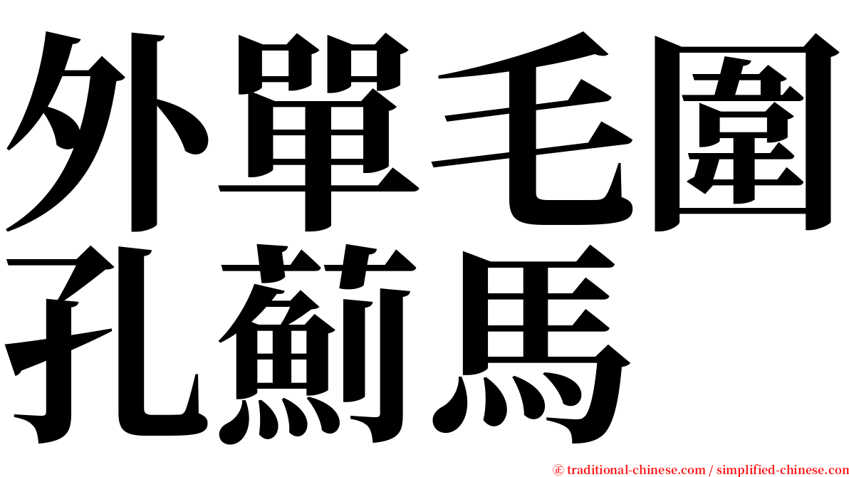 外單毛圍孔薊馬 serif font