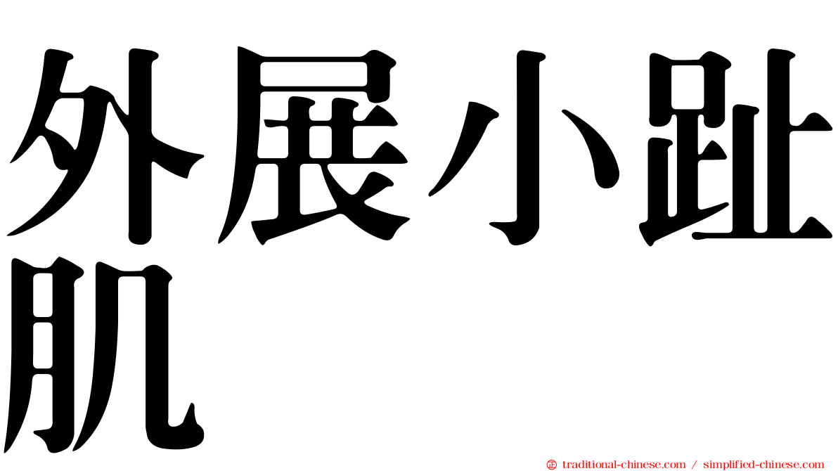 外展小趾肌