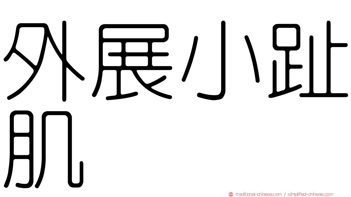外展小趾肌