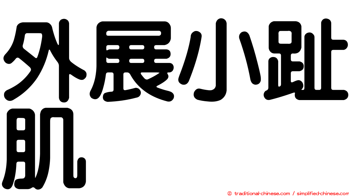 外展小趾肌