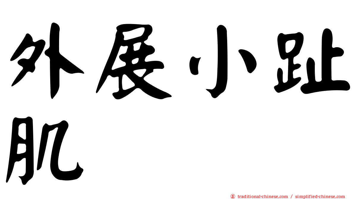 外展小趾肌