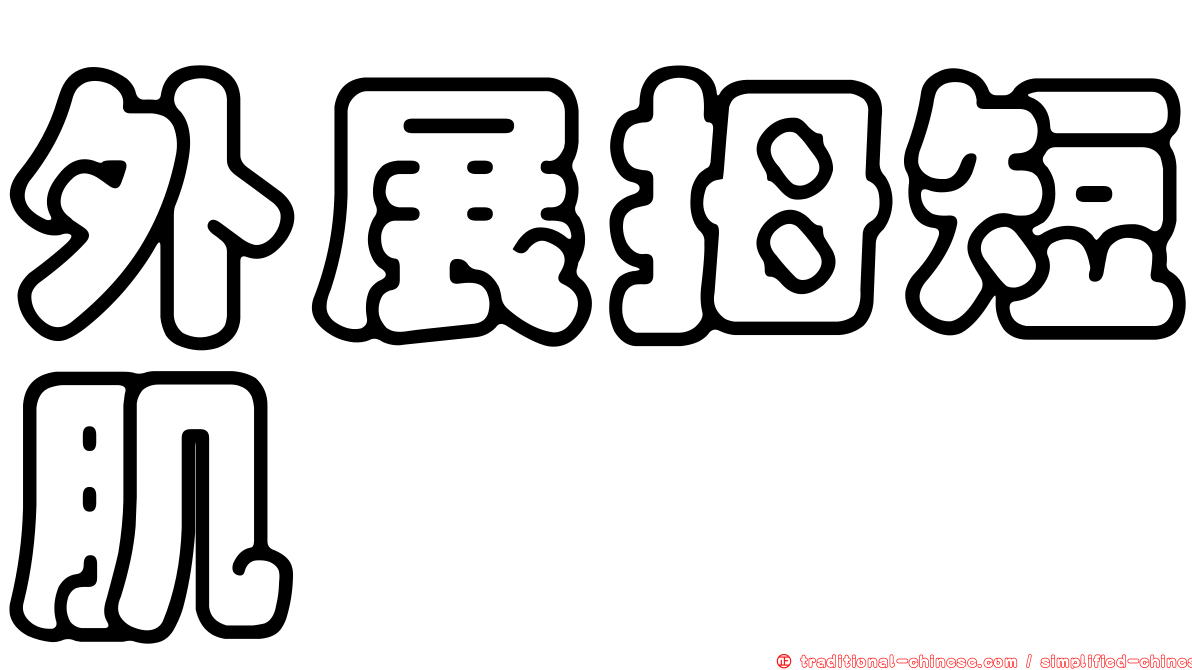 外展拇短肌