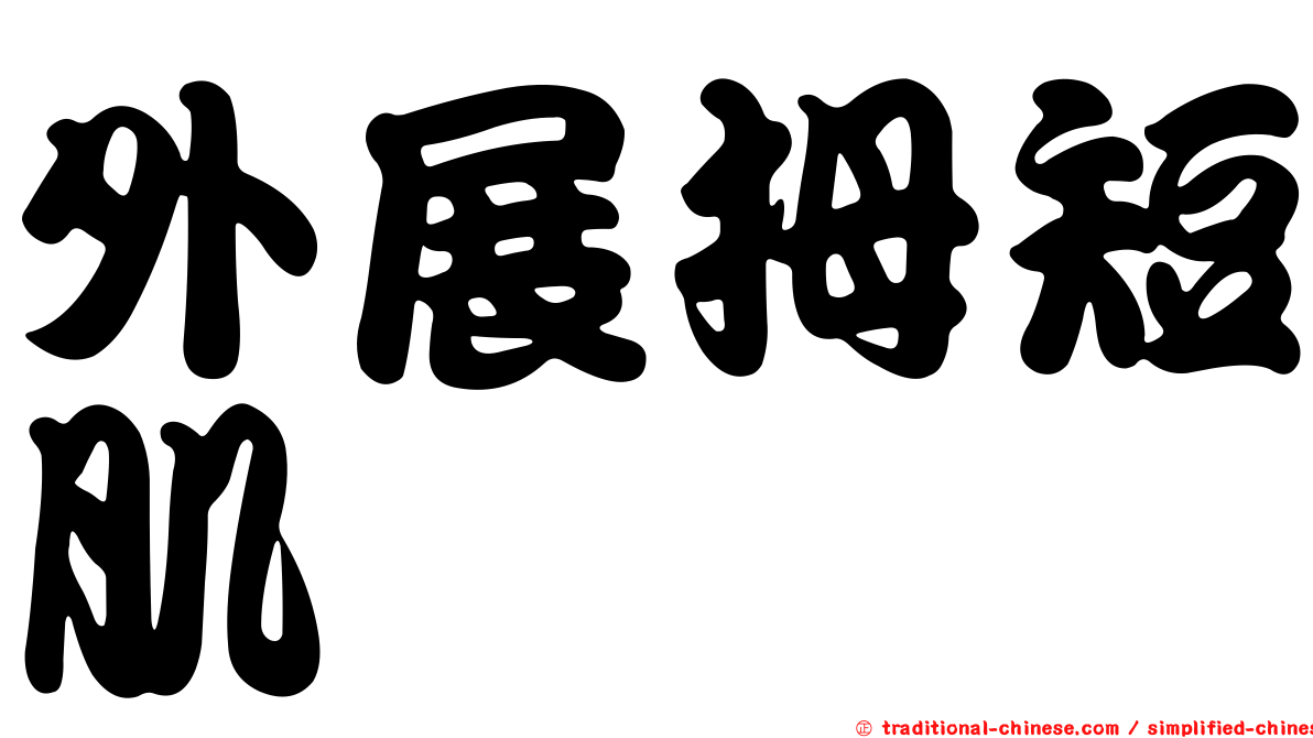 外展拇短肌