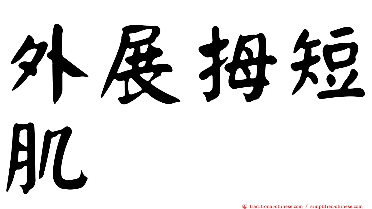 外展拇短肌
