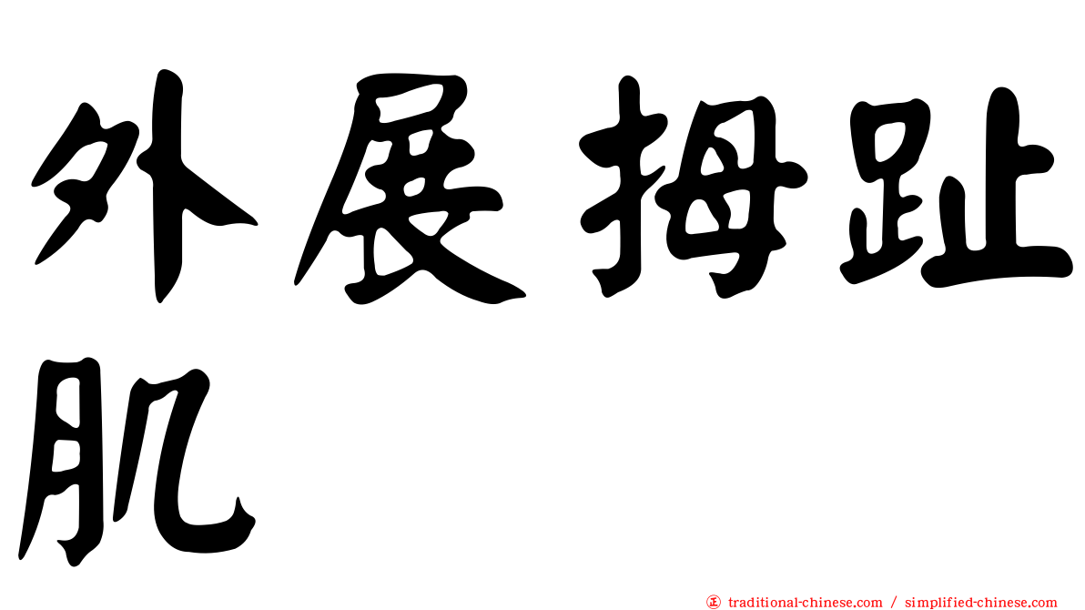 外展拇趾肌