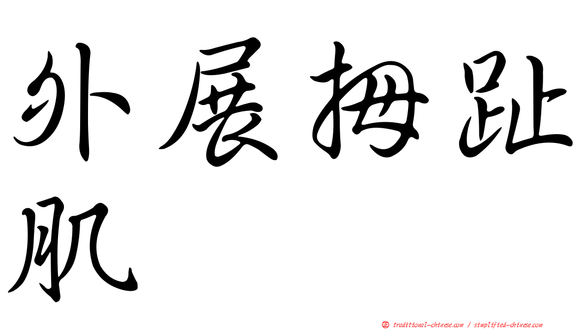 外展拇趾肌