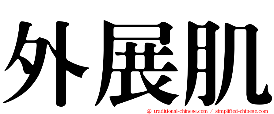 外展肌