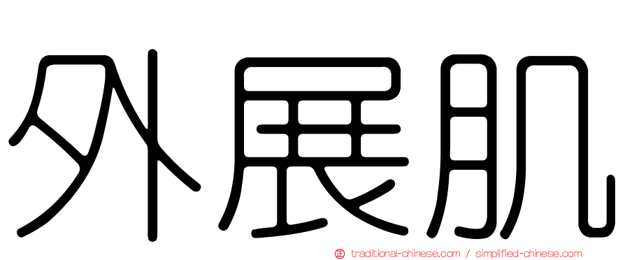 外展肌