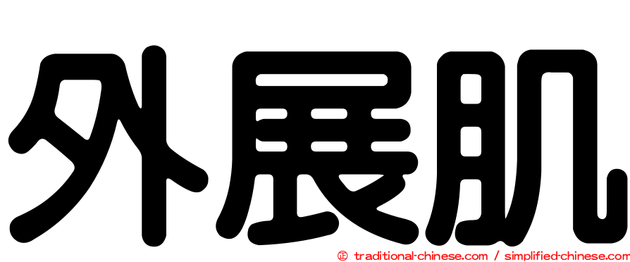 外展肌