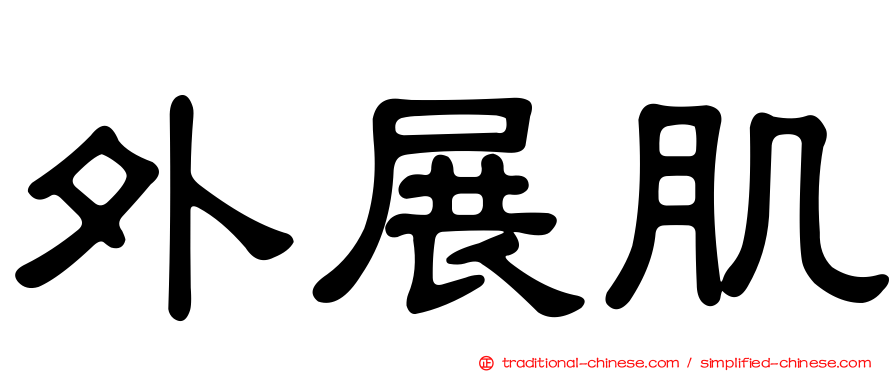 外展肌