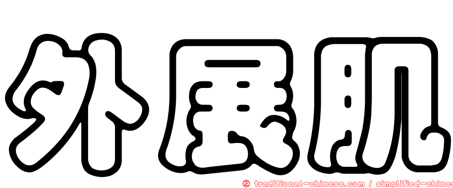 外展肌