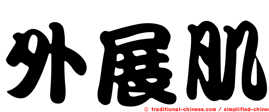 外展肌