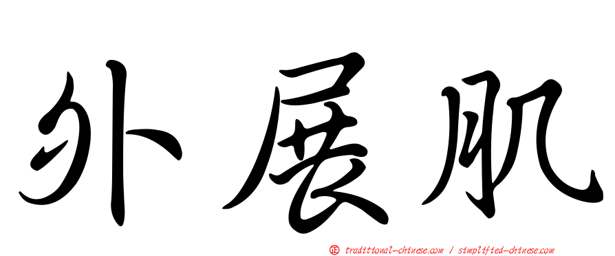 外展肌