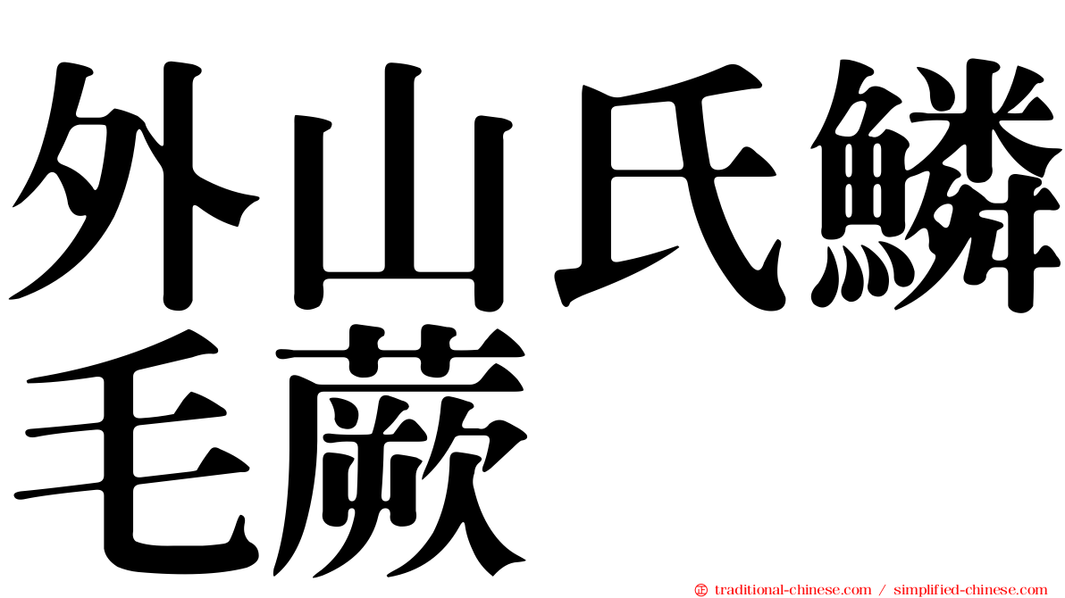 外山氏鱗毛蕨
