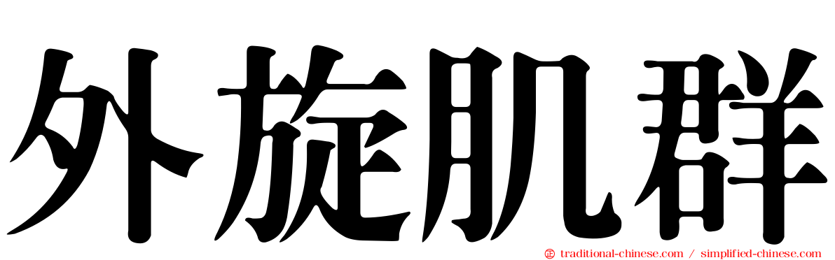 外旋肌群