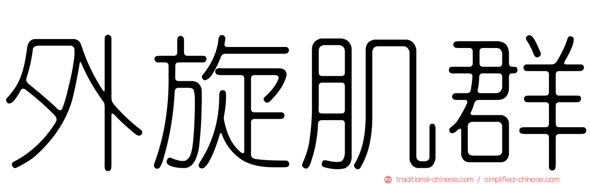 外旋肌群